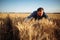 Farmer wraps around a bunch of ears of wheat at the field with his hands checking quality of the crop. Male farm worker