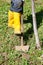 Farmer yellow boots working spade field closeup