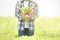 Farmers asian man hands with freshly harvested vegetables in basket,Concept of biological, bio products, bio ecology, grown by