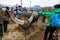 The Farmers and Buffalo Market of Bac Ha in Vietnam