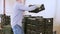 farmers carrying plastic box full of cucumbers in greenhouse