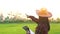 Farmers check the quality of rice in the rice field