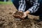 Farmers\' expert hands check soil health before planting vegetable seeds or seedlings. Business idea or ecology