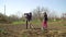 Farmers family planting potatoes on vegatable field in early spring