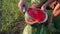 Farmers father and son eating watermelon on the field of organic farm.