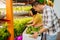 Farmers feeling busy while gathering lettuce and putting it into box