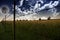 Farmers Fence and field