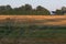 Farmers Field Autumn Hay Bales