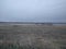 Farmers field and lake with a Grove of trees in springtime coming out of winter