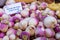 Farmers fresh radish white and pink closeup