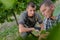 Farmers in grape picking harvesting