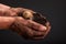 Farmers hand holding soil surface