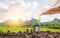 Farmers` hands are watering trees on top of coins stacked on a blurred natural background.