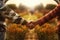 Farmers Handshake Against Backdrop Of Unfocused Farm With Bees, Closeup. Generative AI