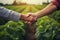 Farmers Handshake In Agriculture