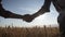 Farmers handshake over the wheat crop in harvest time. Partnership concept.