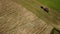 Farmers harvest dry hay by moving the harvested hay with a tractor turner. Top view.