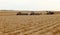 Farmers harvest potatoes in an Idaho Farm field.