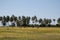 Farmers harvest rice at Koh-Sukorn Island rice field