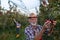 Farmers harvesting apples in orchard