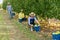 Farmers harvesting bruised apples