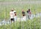 Farmers harvesting chilli paprikas