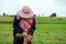 Farmers Harvesting organically green shallots.