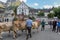 Farmers with a herd of cows on the annual transhumance at Engelberg on the Swiss alps