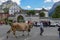 Farmers with a herd of cows on the annual transhumance at Engelberg on the Swiss alps