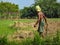 Farmers are hoeing the land in the fields. Moiokerto, East Java, Indonesia. July, 2022