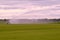 Farmers irrigate fields because of the drought, crops waiting for the rain to come. Drenthe, the Netherlands.