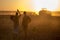 Farmers with laptop in field at sunset