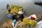 Farmers are loading harvested rice from floating boat up to transport vehicle next to the lake