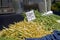 Farmers Market green and yellow beans