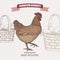 Farmers market label with color live chicken and egg basket.