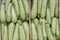 Farmers market marrows in a wooden crates, background