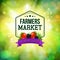 Farmers market poster. Blurred background with shining sun. Typo