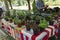 Farmers market stall with various kind of aromatic herbs on vases for sale