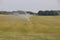 Farmers in the Netherlands are watering water over meadows during the dry summer of 2018