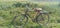 Farmers Park bicycle in field  riding by bicycle in madhubani bihar India