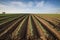 farmers planting genetically modified crops that are drought resistant