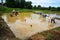 Farmers are planting rice in a flooded field.