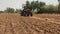 Farmers ploughing the field with sowing Bajara seeds by tractor