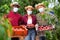 Farmers in protective mask posing with harvest of ripe peaches in orchard