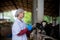 Farmers are recording details of each cow on the farm