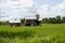 Farmers and rural people in the rice fields of vietnam