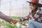 Farmers shaking hands on a melon farm , farmer`s agreement. Agriculture agronomist business contract concept