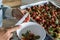 Farmers are sorting strawberries to make strawberry jam