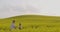 Farmers Talking While Walking On Agricultural Field