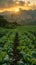 Farmers Tending to Crops in a Fertile Field with Soft Sunrise The gentle blur of workers and land suggests the timeless